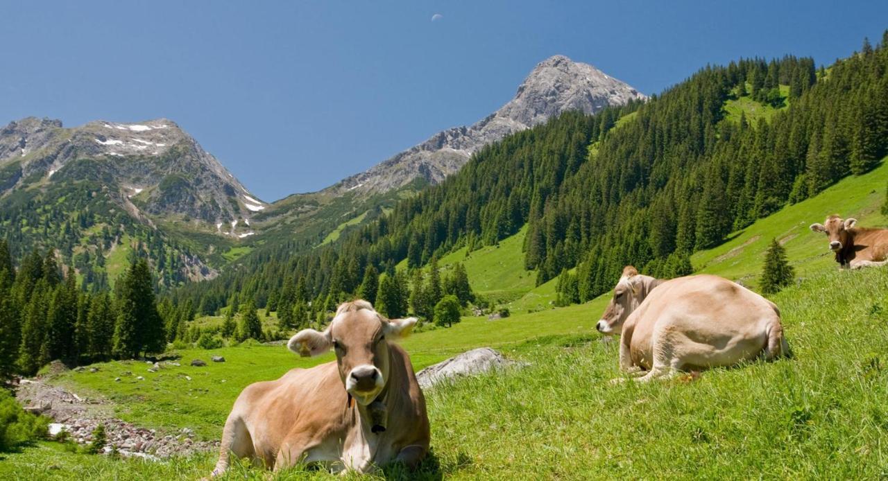 Center Parcs Park Allgaeu Leutkirch im Allgäu Exteriér fotografie